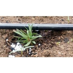 DRIPLINE 16MM/20CM/1.7 L-HR/DOUBLE DRIPPER/ 15MIL(0.38MM) NORMAL DRIPLINE