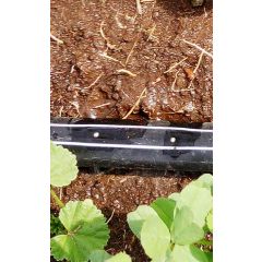 DRIPLINE 16MM/15CM/1.7 L-HR/DOUBLE DRIPPER/15MIL(0.38MM)/ NORMAL DRIPLINE