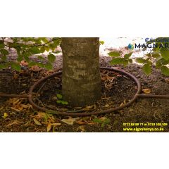 Avocado Irrigation Kit/Acre (Round Tree) 5mx5m
