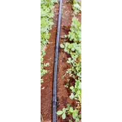 DRIPLINE 16MM/30CM/1.7 L-HR/DOUBLE DRIPPER/15MIL(0.38MM) NORMAL DRIPLINE 