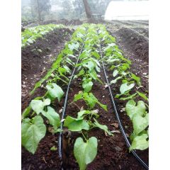 ELGON KADOGO 250 SQ M DRIP KIT