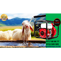 "MAGNAR" MN20H - Water Pump - Medium Pressure  